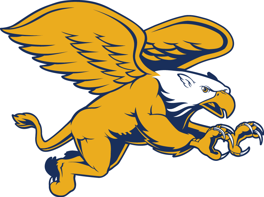 Canisius Golden Griffins 2006-Pres Secondary Logo v2 iron on transfers for fabric